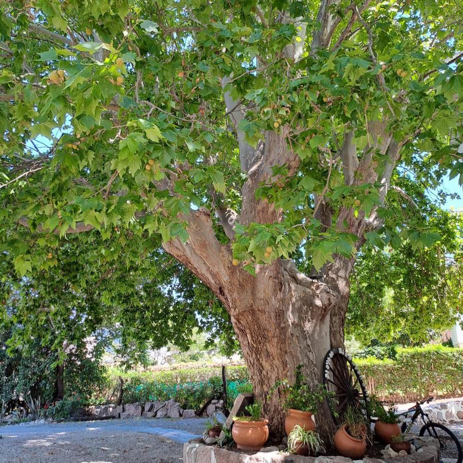 Posada Del Arbol Capilla del Monte Buitenkant foto